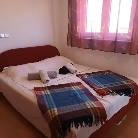 Alice باكوشتاني