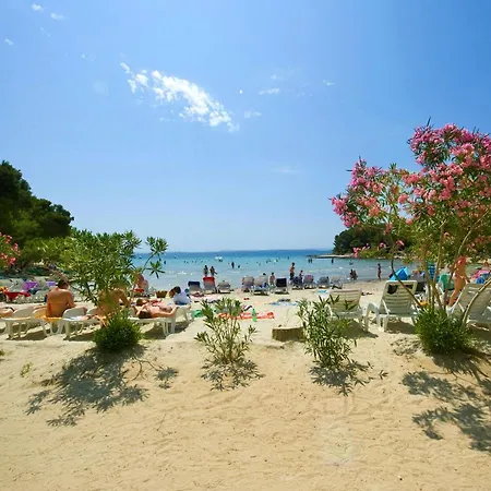 Alice * باكوشتاني