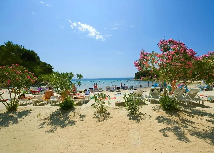 Alice * باكوشتاني